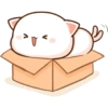 Peach Goma CAJA ❤️ 8