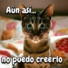 Aún así... ap no puedo creerlo