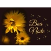 1 M@ Boa : + Naite +