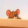 Tom e Jerry memes 😹🐭 7