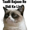 MEMES 13