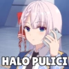 HALO PULICI