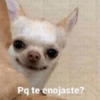 Pq te enojaste?