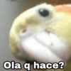 Memes Random XD 8