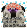 **mas é a coisa mais linda que eu já vi MDS