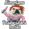 Memes de Perros 5