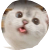 CATS ROM 9