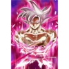 Black Goku 11