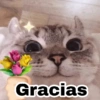 Gracias