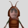 Roblox 7