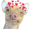 Amorcito Corazón 💕💓 8