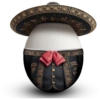 Viva México 11