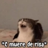 Memes Random XD 😎🥵1 5