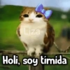 Meowl|Gato|Michi 🐈🦉 5