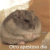 @michiarmy
Otro apestoso día