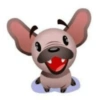 Dogs!  6