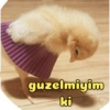 guzelmiyim ki