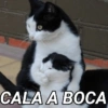 CALA A BOCA
