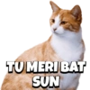 CATS 5