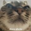 Kiero afecto