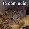 AS QUE ME REPRESENTAM  6