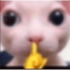 Apoco si tilin? xd 12
