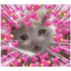 🌈✨💓 love reaction stickers 💓✨🌈 12