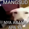 Ramaikan lalu hitamkan 29