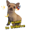 i want
to believe