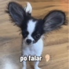 Novos  9