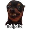 Memes de Perros 8