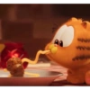 Gatitos 26