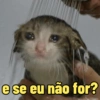 Pack de memes variados 13