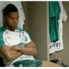 Palmeiras 💚 12