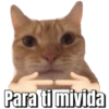 Para ti mivida