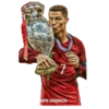 UEFA EUR
FAE
Hero Graphics