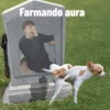 Minhas figurinhas 19