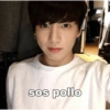 sos pollo