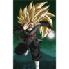 Black Goku 28