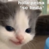 alegatitosyanimalitsuwu
hola peina
*se linda*