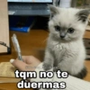 tqm no te duermas
