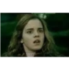 Harry Potter 8