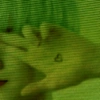 Green webco 13