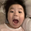 Coreana mandrak 18