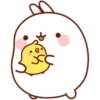Molang y Piu Piu🧡 17