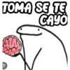 Flork para amixs 7