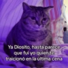 Memes en tendencia 01 ✨🔥 22