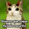 Meowl|Gato|Michi 🐈🦉 14