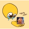 Gatitos 10