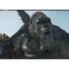 Kong 9